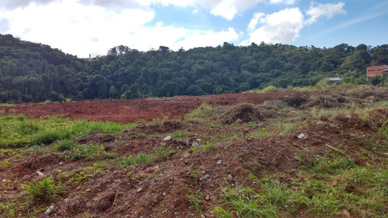 Imagem Terreno à Venda, 9.075 m² em Jardim Belval - Barueri
