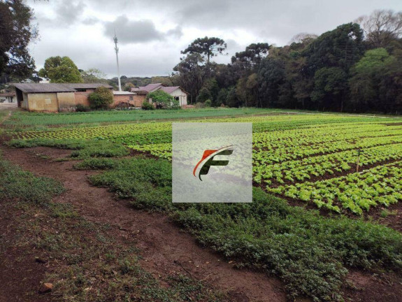 Imagem Terreno à Venda, 4.987 m² em Umbará - Curitiba Imagem Terreno à Venda, 4.987 m² em Umbará - Curitiba