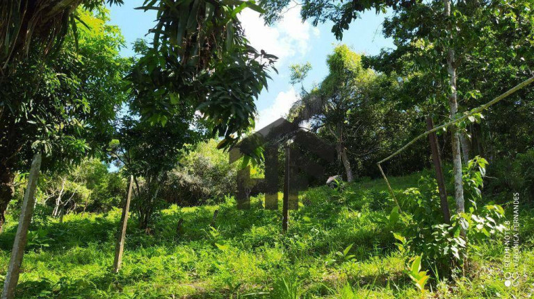 Imagem Chácara com 6 Quartos à Venda, 65.000 m² em Aldeia - Camaragibe
