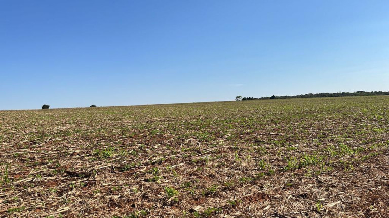 Imagem Fazenda à Venda, 95 m² em Rural - Paranapanema Imagem Fazenda à Venda, 95 m² em Rural - Paranapanema