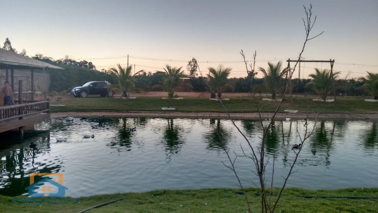 Imagem Chácara à Venda, 5.000 m² em Centro - Bom Jesus Do Galho Imagem Chácara à Venda, 5.000 m² em Centro - Bom Jesus Do Galho