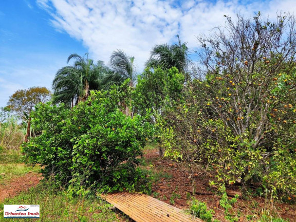 Imagem Chácara com 2 Quartos à Venda, 42 m² em Bandeirantes Imagem Chácara com 2 Quartos à Venda, 42 m² em Bandeirantes