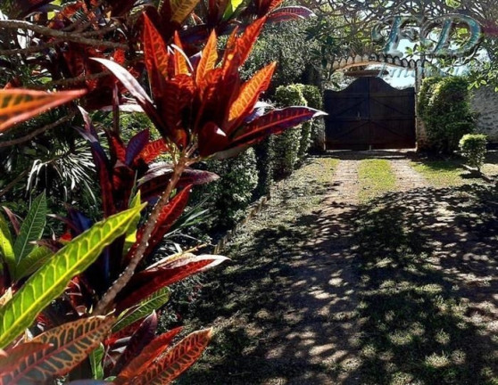 Imagem Chácara com 3 Quartos à Venda, 2.000 m² em Chácara Da Colina - Atibaia Imagem Chácara com 3 Quartos à Venda, 2.000 m² em Chácara Da Colina - Atibaia
