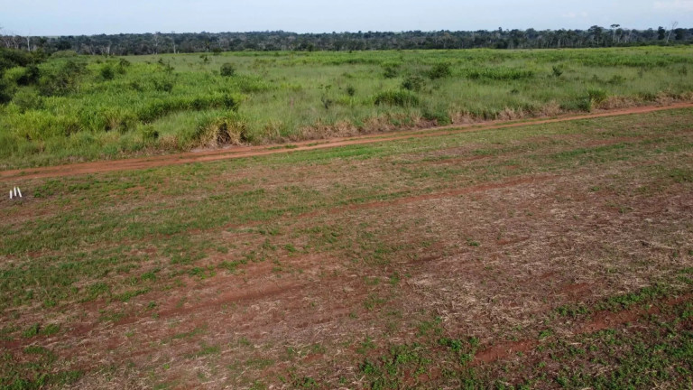 Imagem Fazenda à Venda, 13 m² em Residencial Maripá - Sinop Imagem Fazenda à Venda, 13 m² em Residencial Maripá - Sinop