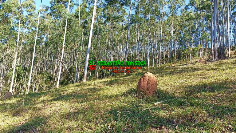 Imagem Chácara à Venda, 2 m² em Centro - Paraibuna Imagem Chácara à Venda, 2 m² em Centro - Paraibuna