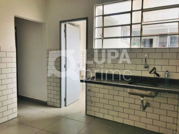 Imagem Apartamento com 1 Quarto para Alugar, 43 m² em Tucuruvi - São Paulo Imagem Apartamento com 1 Quarto para Alugar, 43 m² em Tucuruvi - São Paulo