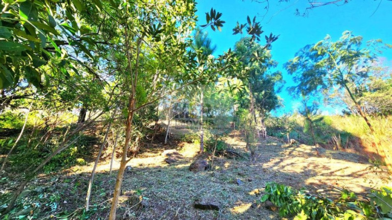 Imagem Terreno à Venda, 509 m² em Linha Olinda - Nova Petrópolis Imagem Terreno à Venda, 509 m² em Linha Olinda - Nova Petrópolis