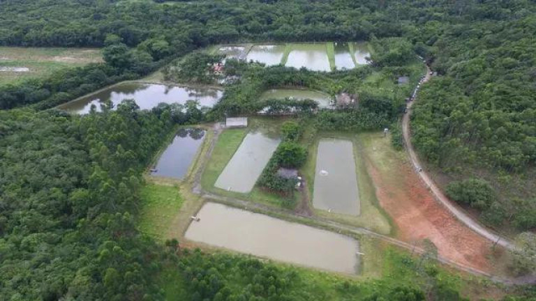 Imagem Imóvel à Venda, 22.233 m² em Colonia Quintilha - Paranagua Imagem Imóvel à Venda, 22.233 m² em Colonia Quintilha - Paranagua