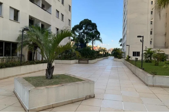 Imagem Imóvel com 3 Quartos à Venda, 73 m² em Vila Amélia - São Paulo
