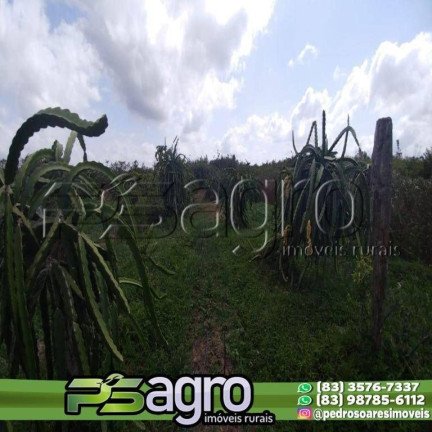 Imagem Fazenda à Venda, 45.000.000 m² em Alto Do Pinho - São Luís Imagem Fazenda à Venda, 45.000.000 m² em Alto Do Pinho - São Luís