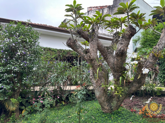 Imagem Imóvel com 5 Quartos à Venda, 260 m² em Mirandópolis - São Paulo Imagem Imóvel com 5 Quartos à Venda, 260 m² em Mirandópolis - São Paulo