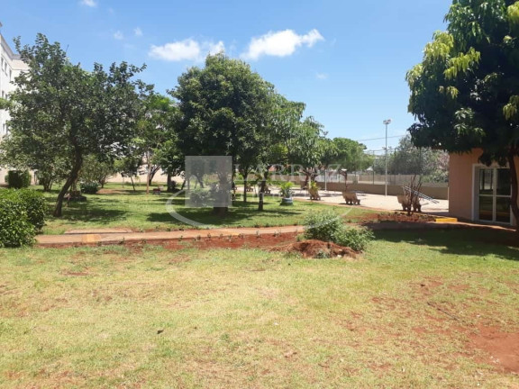 Imagem Imóvel com 2 Quartos à Venda, 47 m² em Parque Ribeirao Preto - Ribeirao Preto Imagem Imóvel com 2 Quartos à Venda, 47 m² em Parque Ribeirao Preto - Ribeirao Preto