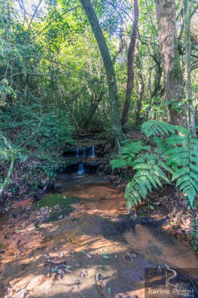 Imagem Terreno à Venda, 3.000 m² em Fazenda São Borja - São Leopoldo Imagem Terreno à Venda, 3.000 m² em Fazenda São Borja - São Leopoldo
