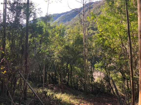 Imagem Terreno à Venda, 4 m² em São José Do Caí - Nova Petrópolis Imagem Terreno à Venda, 4 m² em São José Do Caí - Nova Petrópolis