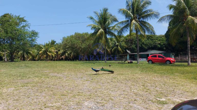 Imagem Fazenda à Venda, 6.800 m² em Monte Gordo (monte Gordo) - Camaçari Imagem Fazenda à Venda, 6.800 m² em Monte Gordo (monte Gordo) - Camaçari