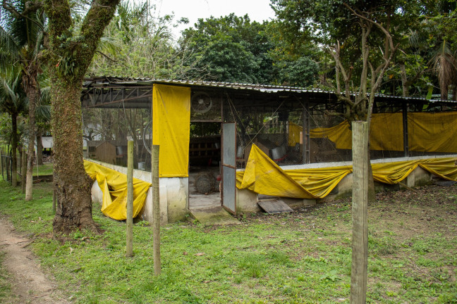 Imagem Imóvel com 7 Quartos à Venda,  em Guaratiba - Rio De Janeiro