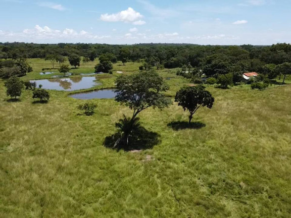 Imagem Chácara à Venda, 30 m² em Tangará Da Serra Imagem Chácara à Venda, 30 m² em Tangará Da Serra