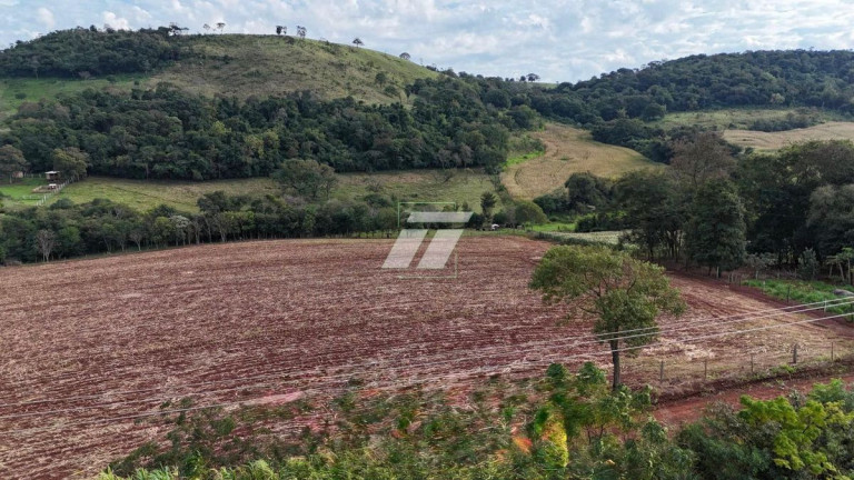 Imagem Fazenda à Venda,  em Cancelli - Cascavel