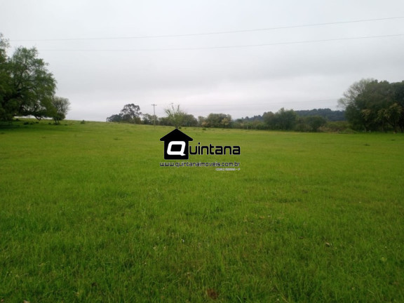 Imagem Imóvel à Venda, 500.000 m² em Br 392 - Canguçu Imagem Imóvel à Venda, 500.000 m² em Br 392 - Canguçu
