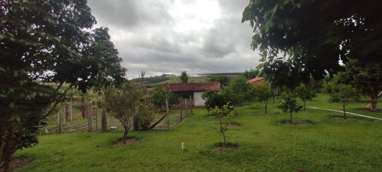 Imagem Chácara com 3 Quartos à Venda, 3.260 m² em Centro - Sarapuí