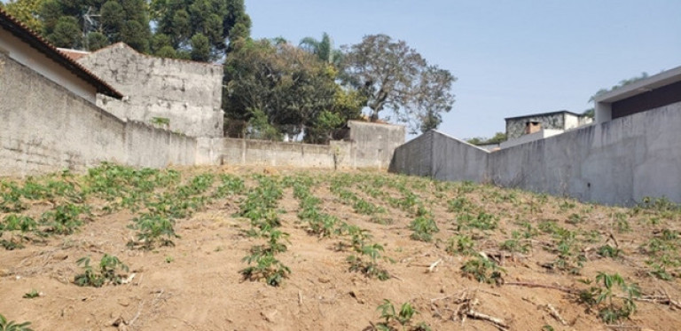 Terreno à Venda, 600 m² em Jardim Paulista - Atibaia