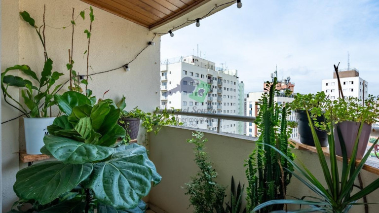 Imagem Apartamento com 3 Quartos à Venda, 75 m² em Saúde - São Paulo