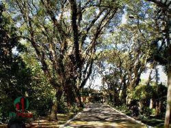 Imagem Terreno à Venda, 509 m² em Bosque Do Vianna - Cotia
