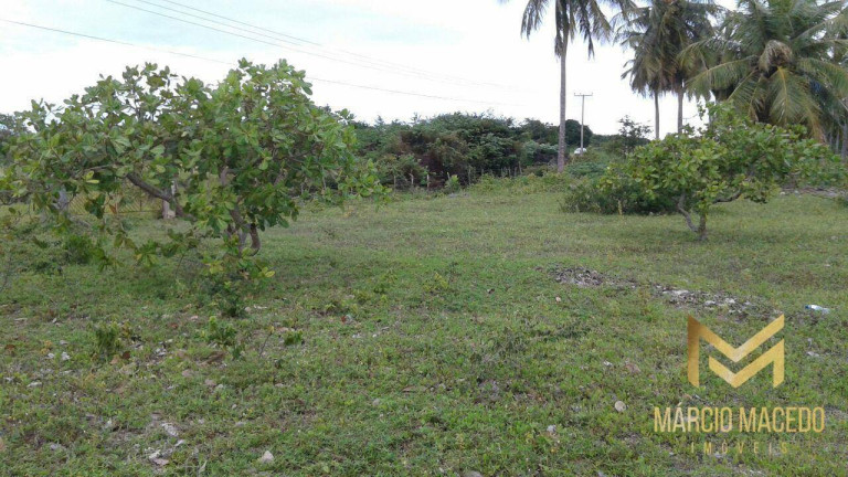 Imagem Terreno à Venda, 247.664 m² em Zona Rural - Beberibe Imagem Terreno à Venda, 247.664 m² em Zona Rural - Beberibe