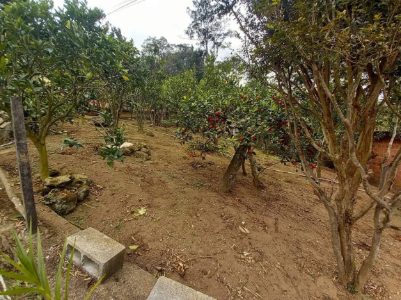 Imagem Casa com 3 Quartos à Venda, 7 m² em Chácara Paraíso - Nova Friburgo