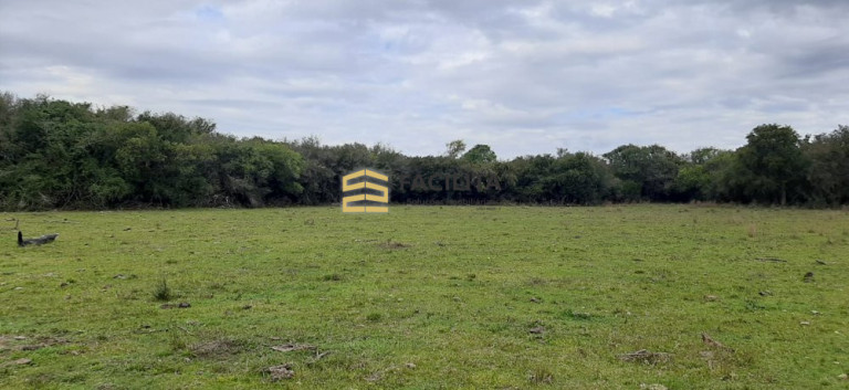 Imagem Imóvel com 2 Quartos à Venda, 420.000 m² em Vacacaí - São Gabriel Imagem Imóvel com 2 Quartos à Venda, 420.000 m² em Vacacaí - São Gabriel