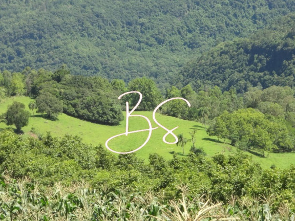 Imagem Imóvel com 4 Quartos à Venda, 450.000 m² em Centro - Canela Imagem Imóvel com 4 Quartos à Venda, 450.000 m² em Centro - Canela