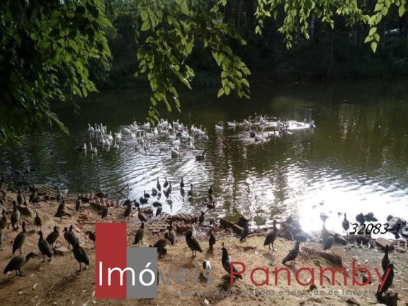 Imagem Apartamento com 3 Quartos à Venda, 70 m² em Bairro Inválido - Cidade Inexistente Imagem Apartamento com 3 Quartos à Venda, 70 m² em Bairro Inválido - Cidade Inexistente