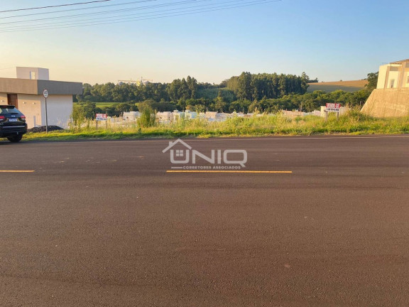Terreno à Venda,  em São Francisco - Pato Branco