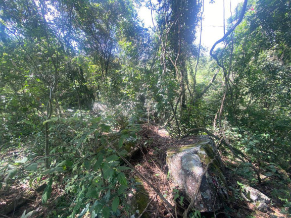 Imagem Terreno à Venda, 3 m² em Santa Terezinha De Minas - Itatiaiuçu