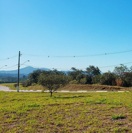 Imagem Casa com 3 Quartos à Venda, 312 m² em Sítio Do Morro - Santana De Parnaíba