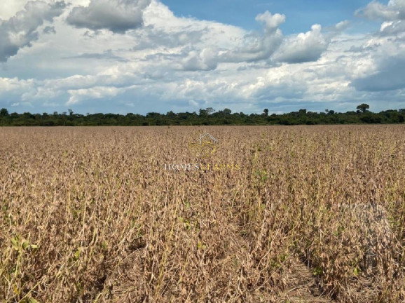 Imagem Imóvel com 3 Quartos à Venda, 40.000 m² em Capelinha - Conceição Do Araguaia Imagem Imóvel com 3 Quartos à Venda, 40.000 m² em Capelinha - Conceição Do Araguaia