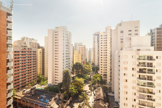 Imagem Apartamento com 3 Quartos à Venda, em Moema Pássaros - São Paulo Imagem Apartamento com 3 Quartos à Venda, em Moema Pássaros - São Paulo