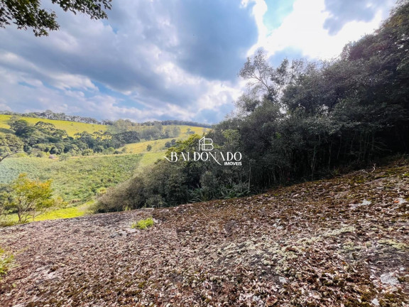 Imagem Terreno à Venda, 8.000 m² em Centro - Toledo Imagem Terreno à Venda, 8.000 m² em Centro - Toledo