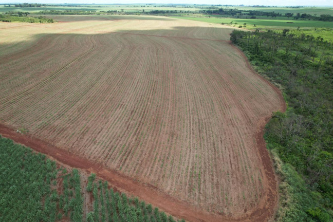 Imagem Chácara à Venda, 13 m² em Zona Rural - Morro Agudo Imagem Chácara à Venda, 13 m² em Zona Rural - Morro Agudo