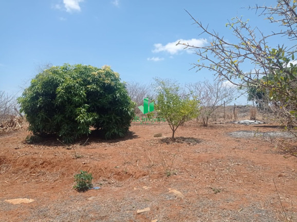 Imagem Imóvel com 1 Quarto à Venda, 40 m² em Nova Esperança - Nova Esperança