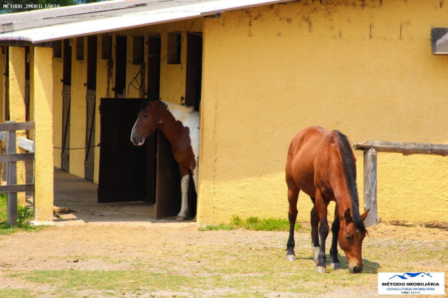 Imagem Chácara com 4 Quartos à Venda, 200 m² em Rural - Pinhalzinho