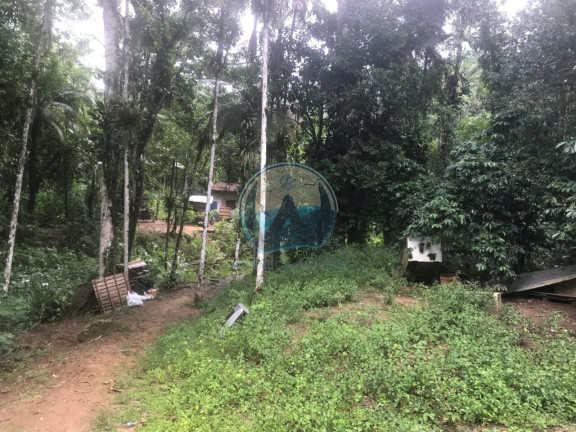 Terreno à Venda, 200 m² em Horto Figueira - Ubatuba