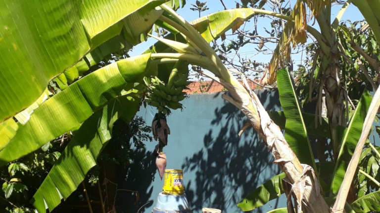 Imagem Imóvel com 2 Quartos à Venda, 700 m² em Quinta Da Bela Olinda - Bauru