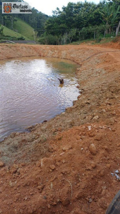 Imagem Chácara com 4 Quartos à Venda, 18.393 m² em Pedra Bela - Pedra Bela Imagem Chácara com 4 Quartos à Venda, 18.393 m² em Pedra Bela - Pedra Bela