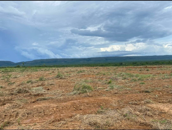 Fazenda à Venda, 1.135 m² em Cuiabá
