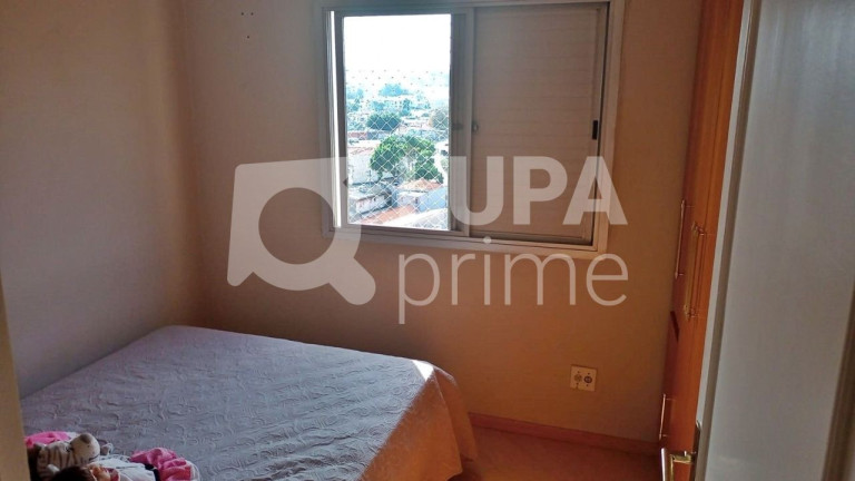 Imagem Apartamento com 3 Quartos à Venda, 80 m² em Vila Maria - São Paulo Imagem Apartamento com 3 Quartos à Venda, 80 m² em Vila Maria - São Paulo