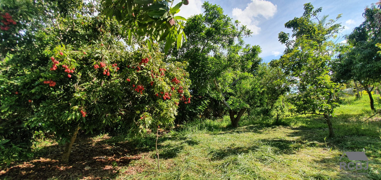 Imagem Imóvel com 3 Quartos à Venda, em Cidade Jardim - Esmeraldas Imagem Imóvel com 3 Quartos à Venda, em Cidade Jardim - Esmeraldas