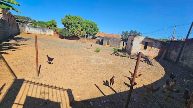 Imagem Terreno para Alugar, 620 m² em Parque Jambeiro - Campinas Imagem Terreno para Alugar, 620 m² em Parque Jambeiro - Campinas