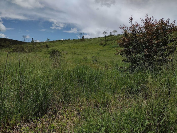 Imagem Fazenda à Venda, 100 m² em Zona Rural - Guaratinguetá Imagem Fazenda à Venda, 100 m² em Zona Rural - Guaratinguetá