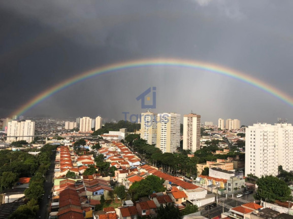 Imagem Apartamento com 2 Quartos à Venda, 97 m² em Jardim Independência - São Paulo Imagem Apartamento com 2 Quartos à Venda, 97 m² em Jardim Independência - São Paulo